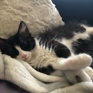 Meet your Posher, Lauren